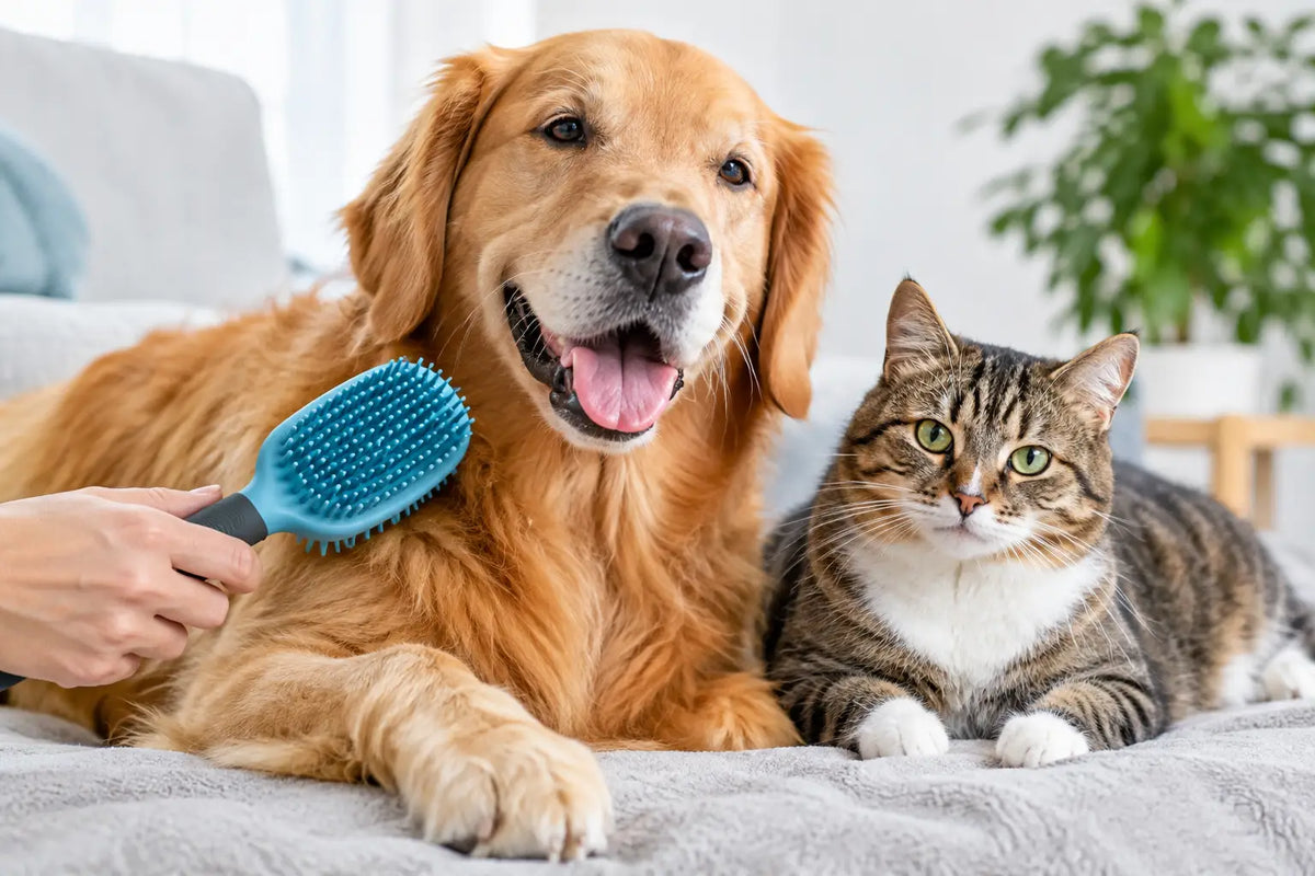 Rubber Grooming Brush Review for Cats and Dogs